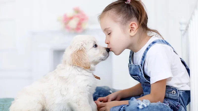 Choosing the Best Canine Companions: Top Dog Breeds for Kids