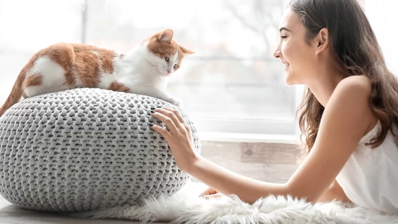 Pet Bonding 101: Easy Activities to Strengthen Your Connection with Your Furry Friend