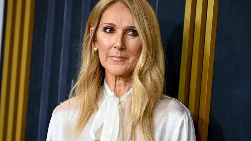 Celine Dion Speaks Out Against Trump Rally Music Use